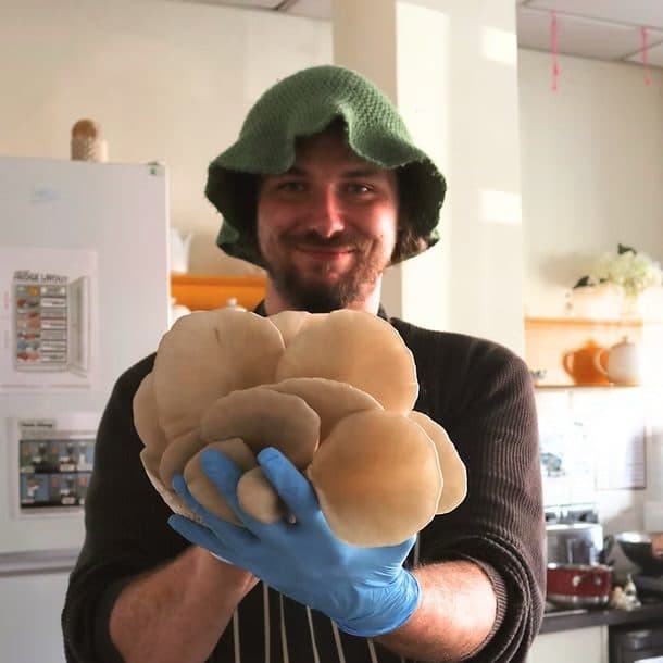 Norton holding a bunch of oyster mushrooms